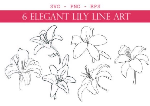 Download Bundel of 6 Elegant Lily Line Art - Premium Resources